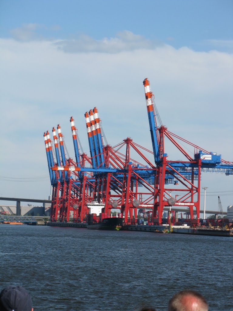 Hamburg Stahlgiraffen Blick in Richtung Köhlbrandbrücke by Günter König