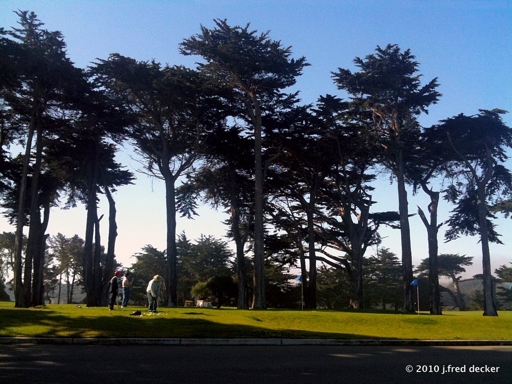 Harding Park Golf Course by jfreddd