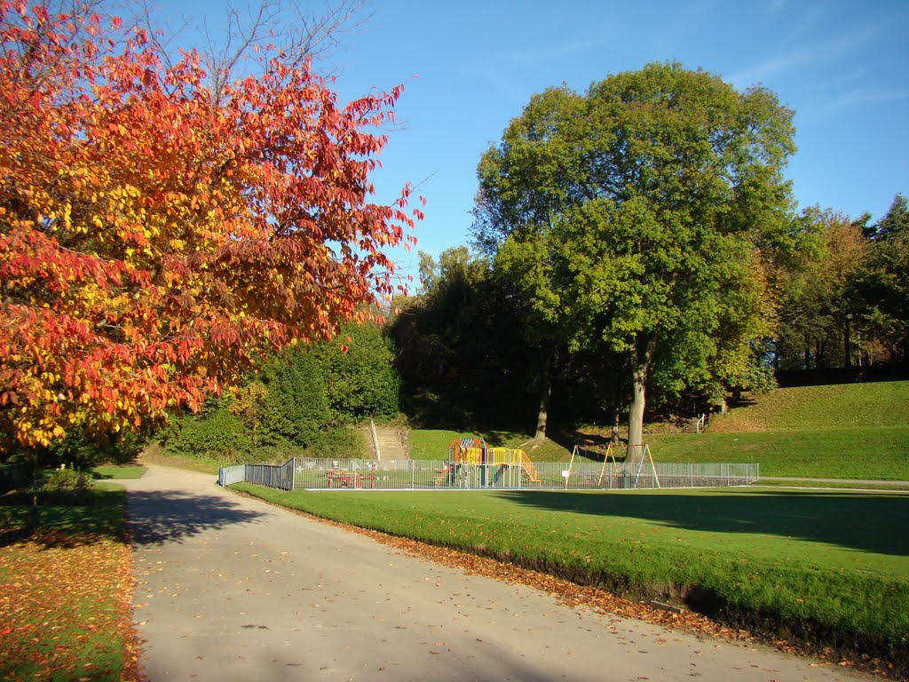 Empty playground on an early autumnal morning, Crookes Valley Park, Sheffield S10 by sixxsix