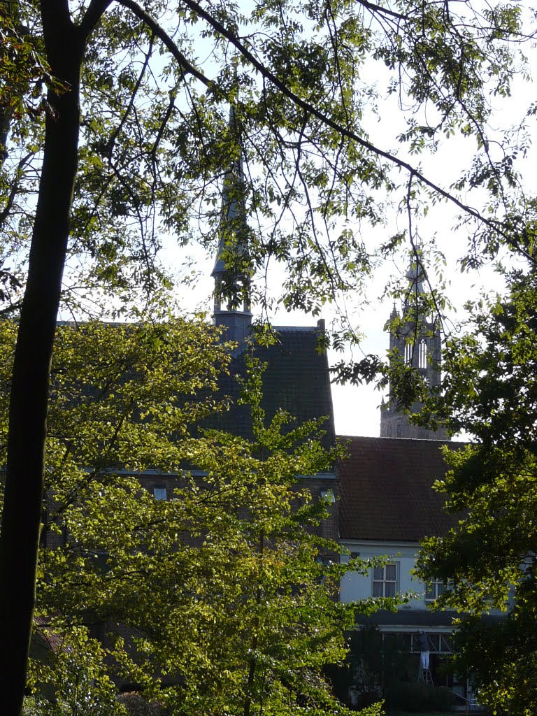 Zicht vanaf het Plantsoen Noord op twee kerktorens, Amersfoort by David Jimmink