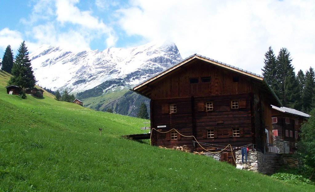 Falgerhütte in Birchetsgump by Hartmut Scheuter