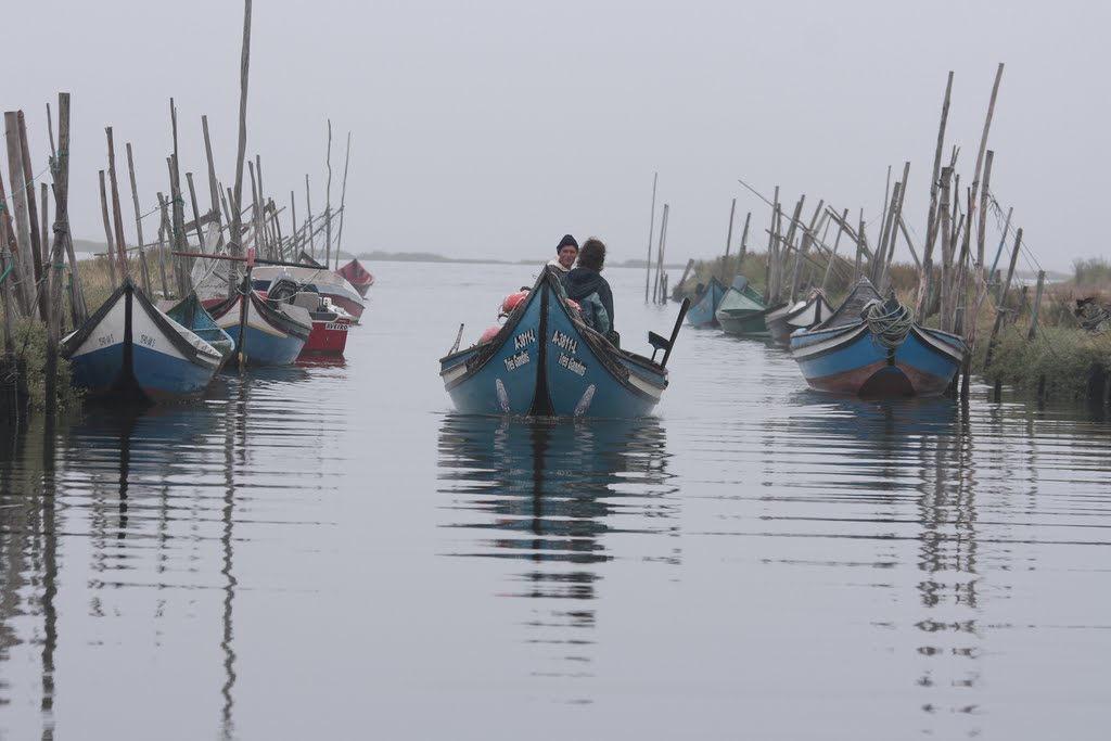 Cais do Bico_Ria de Aveiro_Murtosa by Jaime Maia