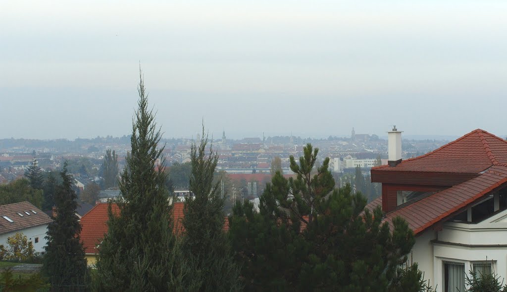 Város látképe a Villa sor házai fölött a Lővérekben by t.mam