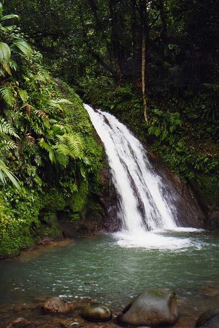 Cascade aux écrevisses by Gérard Rouquié