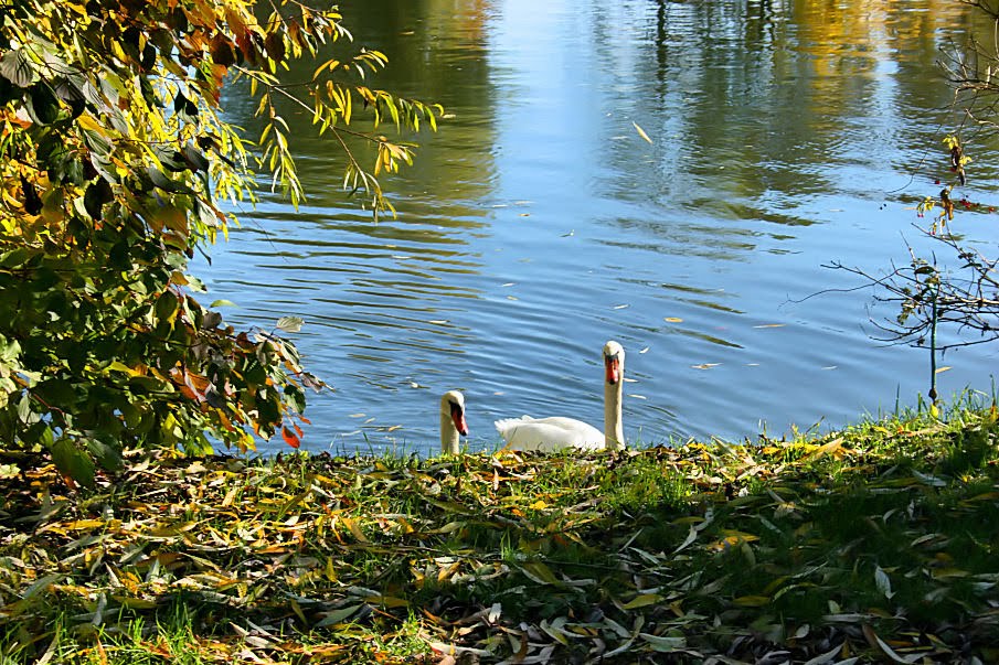 Nürtingen, Germany by imran gündüz