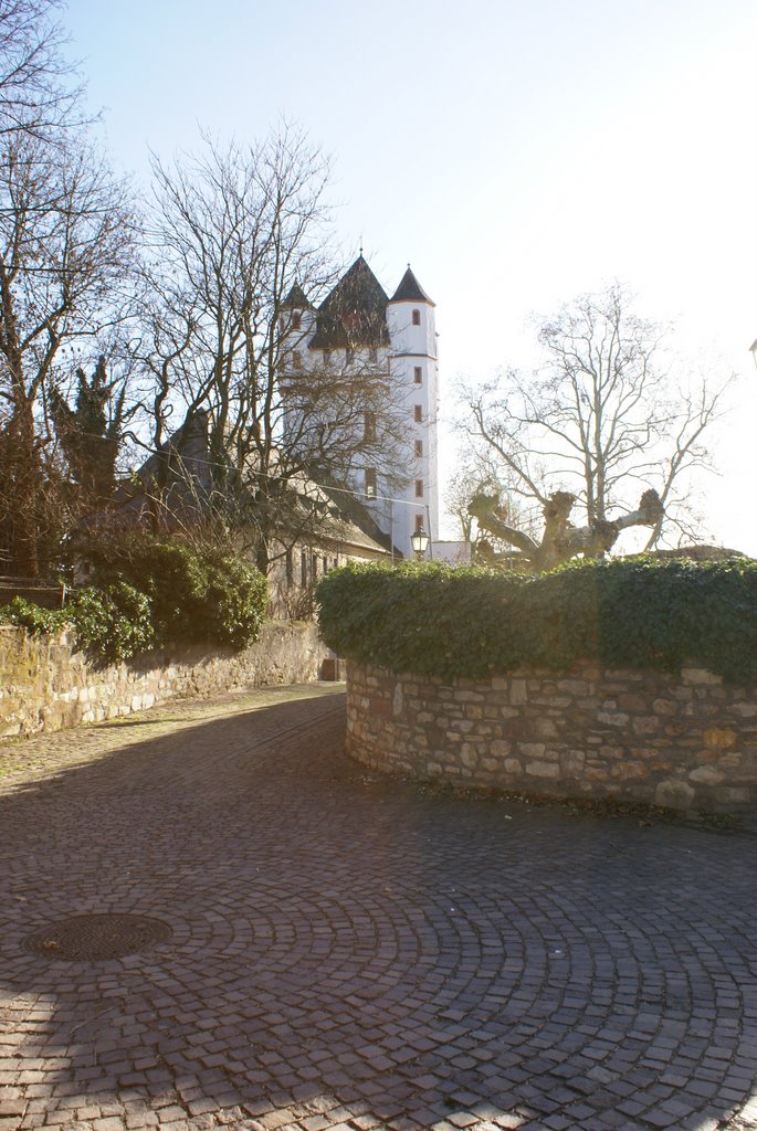 Eltville, Burgstrasse mit Kurfürstlicher Burg by Red Lips