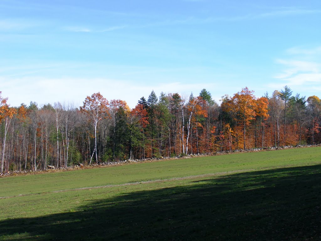 New field by JBTHEMILKER