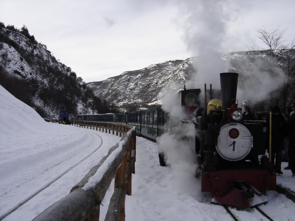 Camila - Tren austral Fueguino by ssantoro