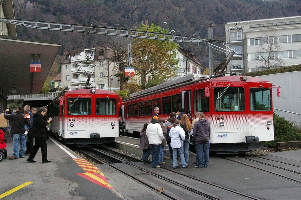 Vitznau, Switzerland - Cog Trains by M Ca