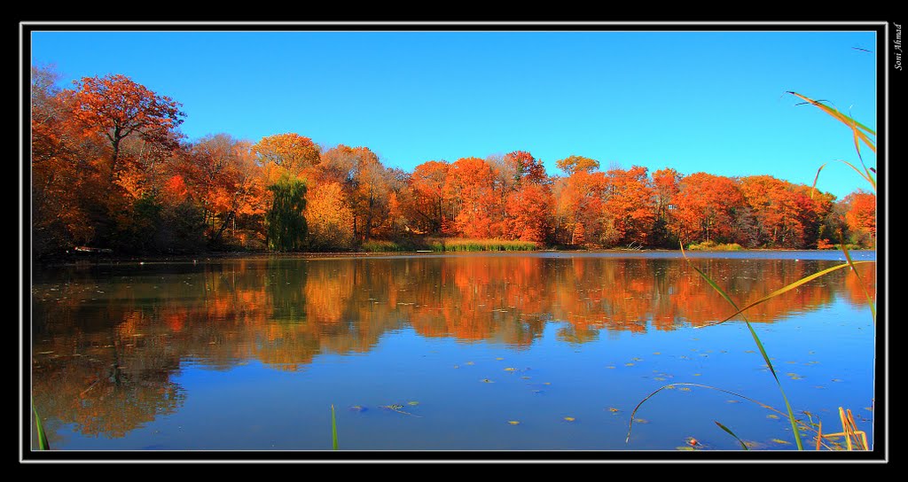 Beauty of autumn by Blinxzatan