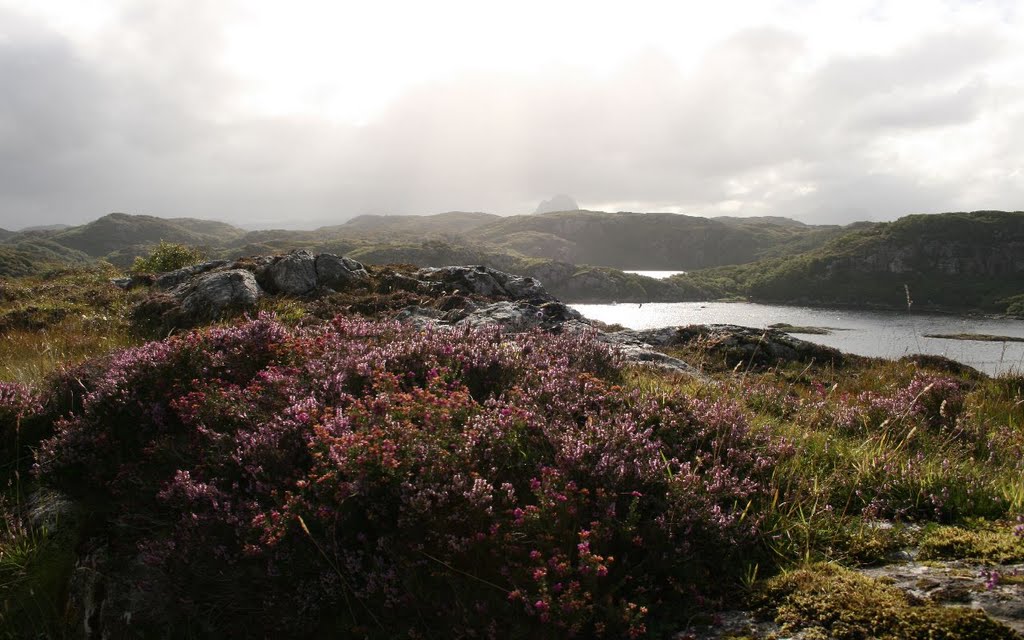 On road going to Achmelvich Beach. by Kenepuru Gypsy