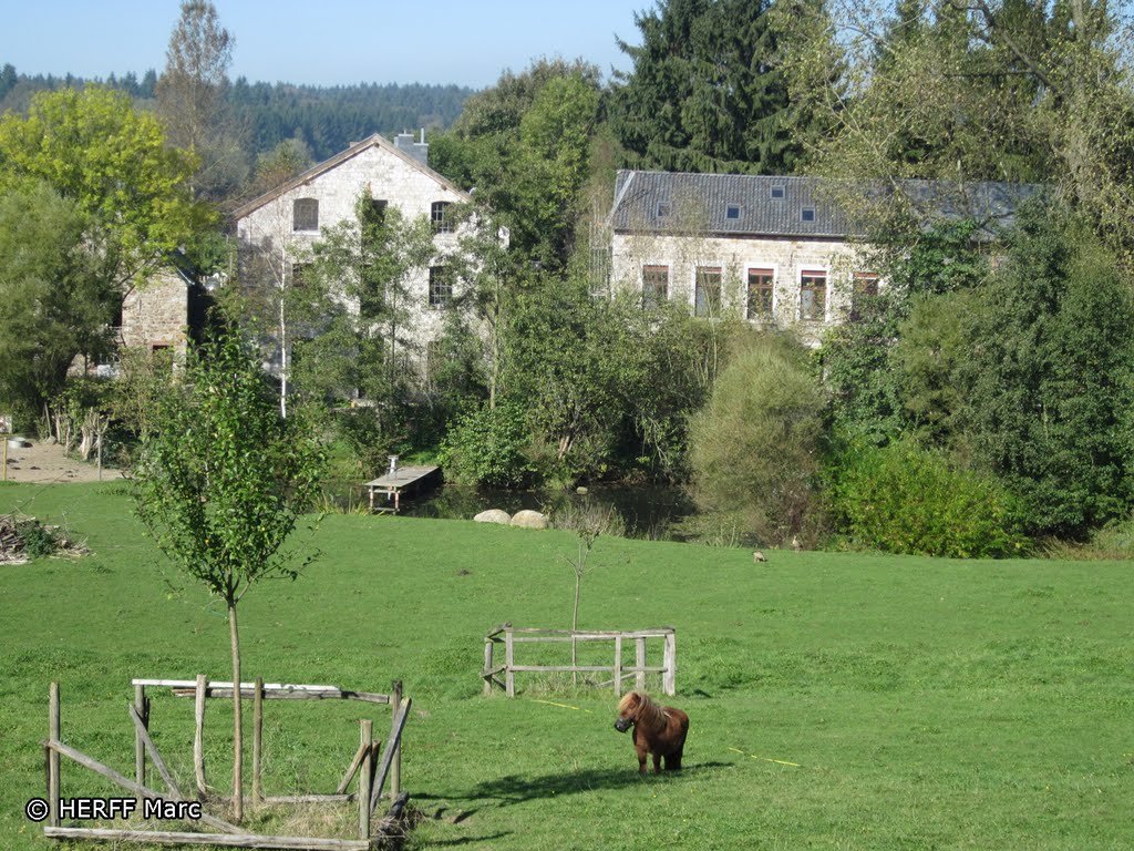 Hauset: Hof Kupfermühle by Wandern in Ostbelgien