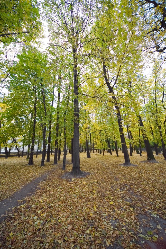 Park jesienią by longdistancer