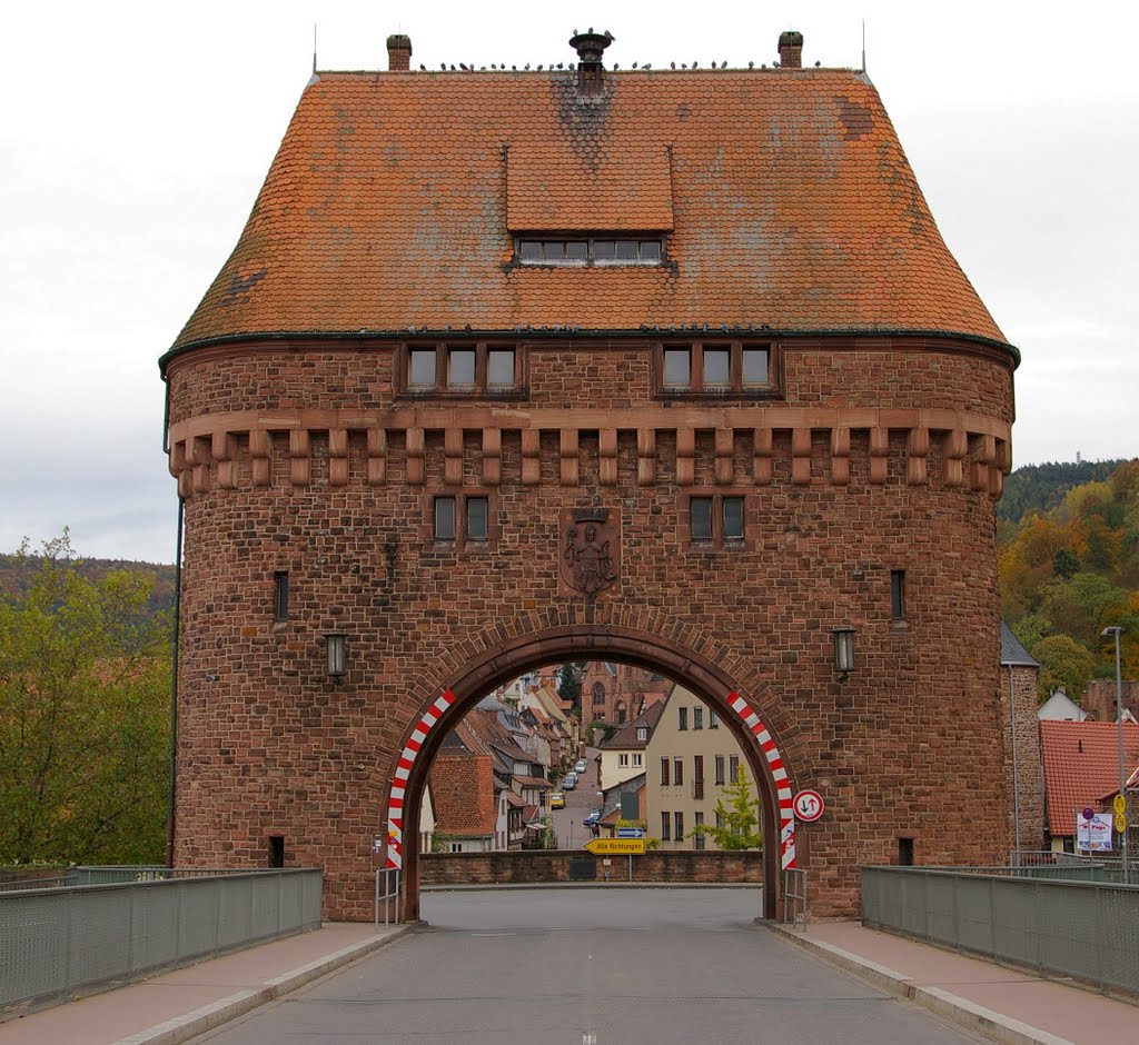 Holsten-Tor Miltenberg by SirFanBoy