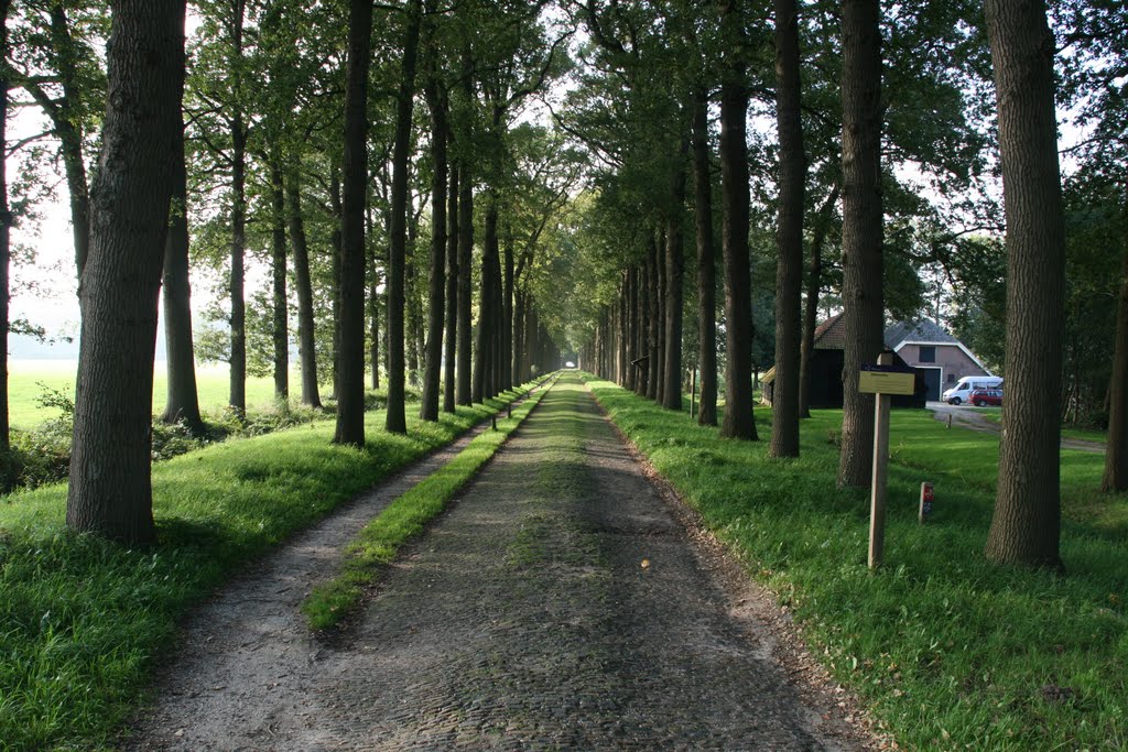 Oldenaller allee, Putten. by Carl030nl