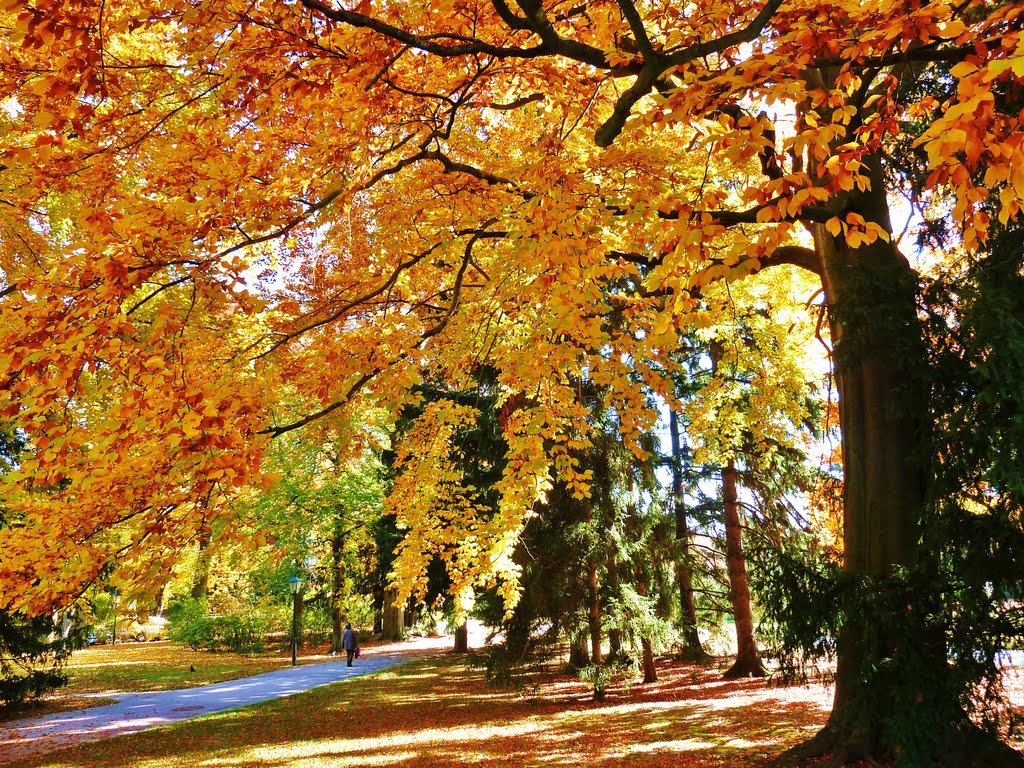 Doblhoff Park, Baden by raxnurmi_AUT