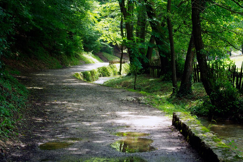 Road to Vuk Karadžić's house by rzeljko