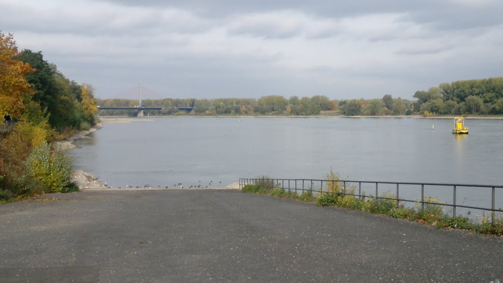 Bonn, Rhein, Nordbrücke, Friedrich-Ebert-Brücke by wiko99