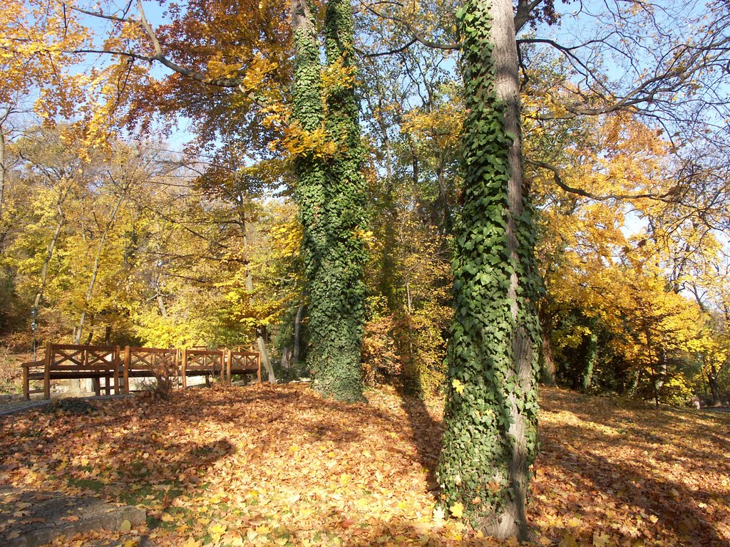 Přírodně krajinářský park na Petříně by Kamil Kristen Brzák-…