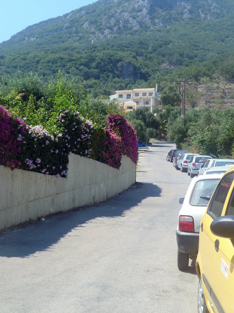 Parking in Barbati (2010) by Levoniemi