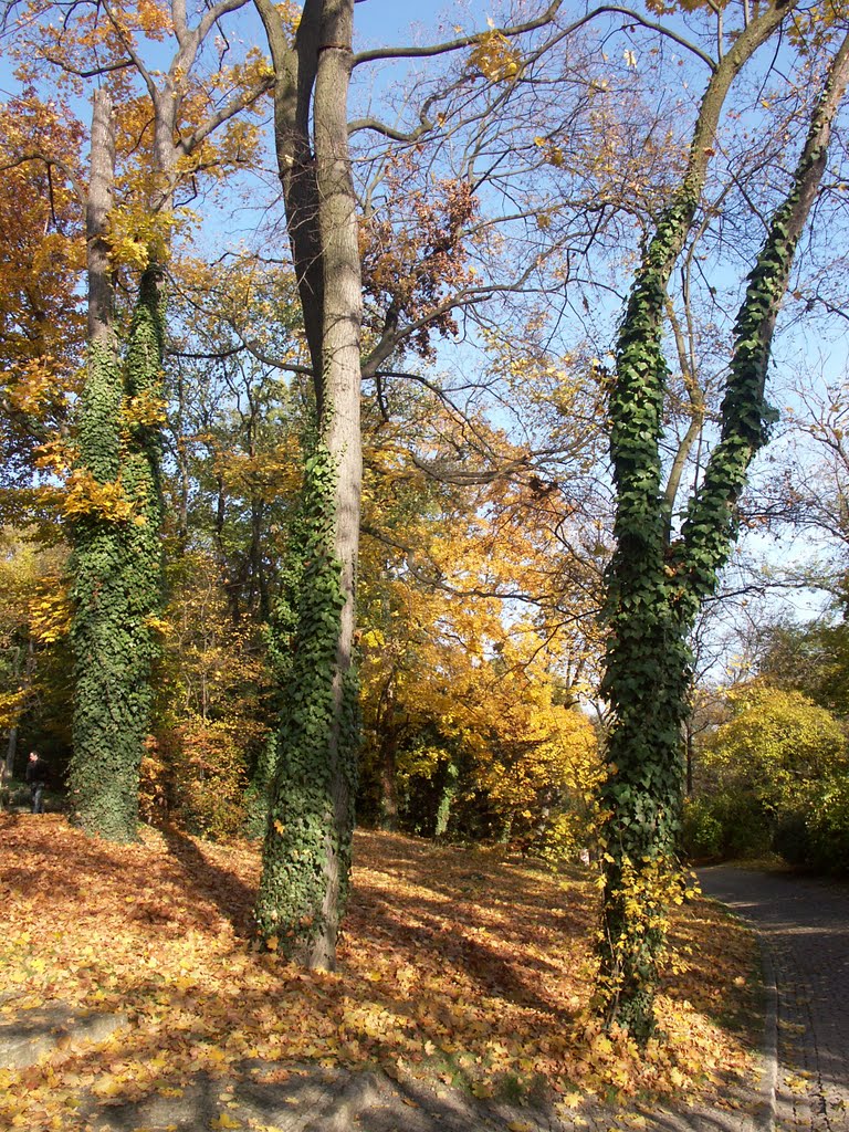 Přírodně krajinářský park na Petříně by Kamil Kristen Brzák-…