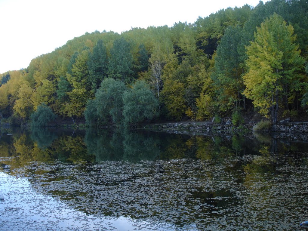 Karagöl البحيرة السوداء by Mehmet Şayir