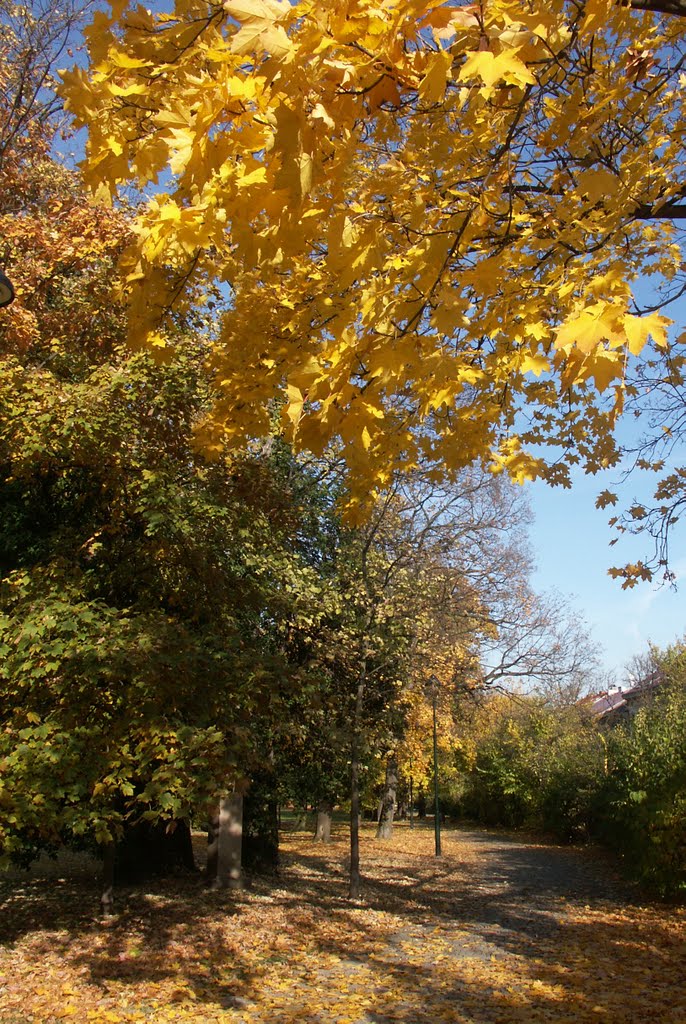 Přírodně krajinářský park na Petříně by Kamil Kristen Brzák-…