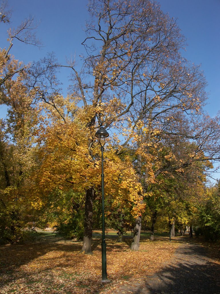 Přírodně krajinářský park na Petříně by Kamil Kristen Brzák-…