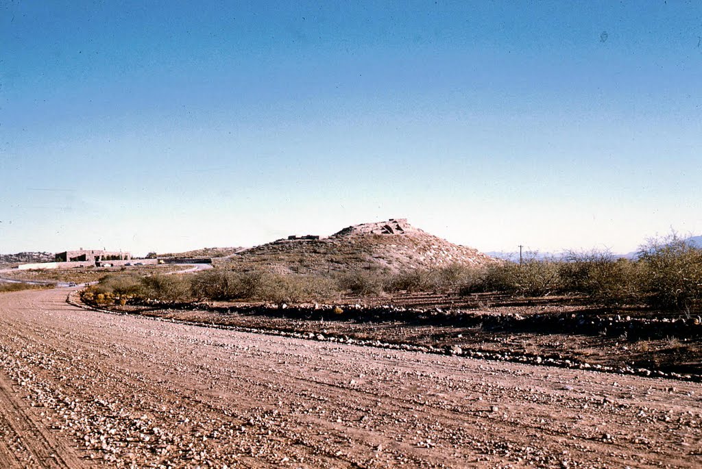 -Arizona- Tutzigoot (1959) by Markus Freitag