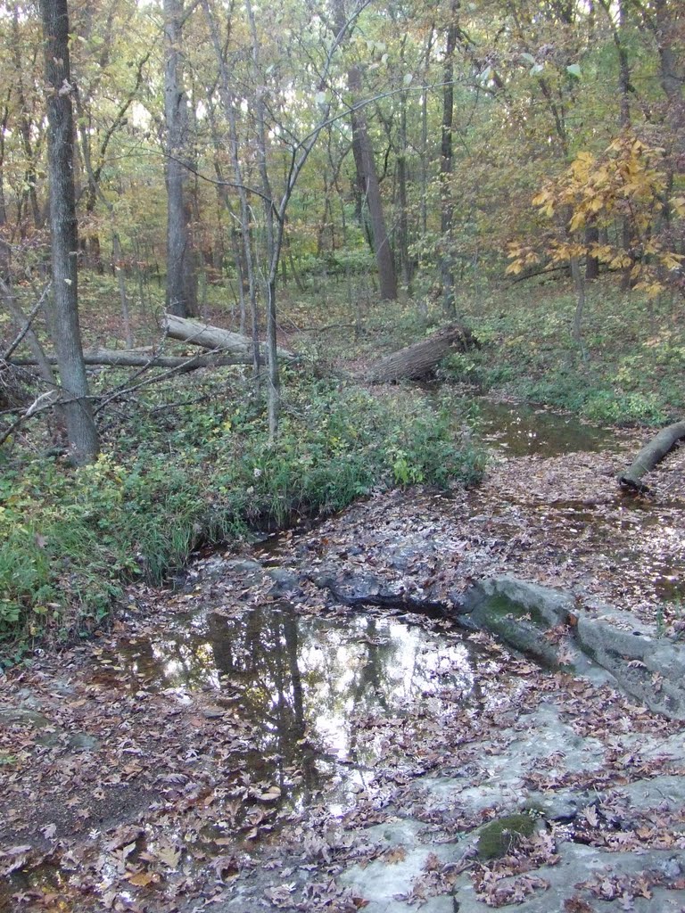 Starved Rock by cimbord2