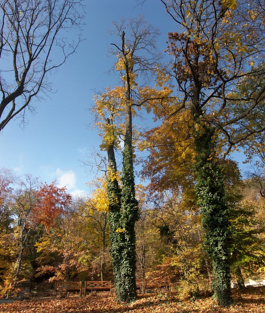 Přírodně krajinářský park na Petříně by Kamil Kristen Brzák-…