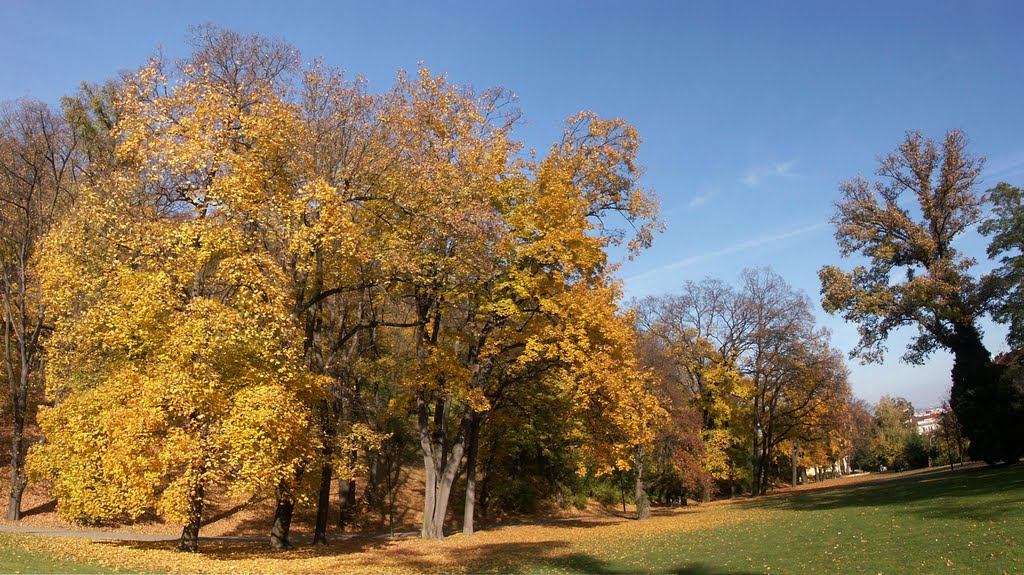 Přírodně krajinářský park na Petříně by Kamil Kristen Brzák-THERESIAE RTM