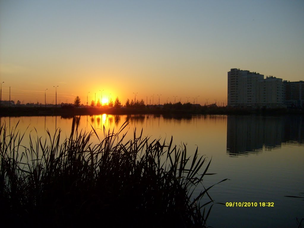 Yuzhnoye Butovo District, Moscow, Russia by Светлана Дмитриева