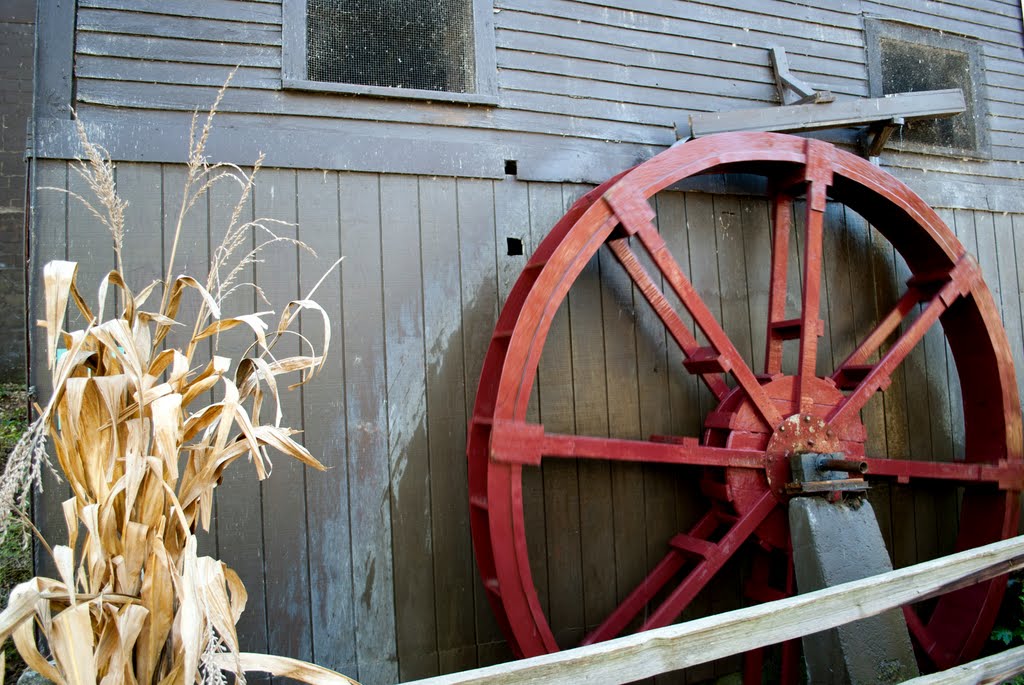 Hartland Township, MI, USA by JoeModz