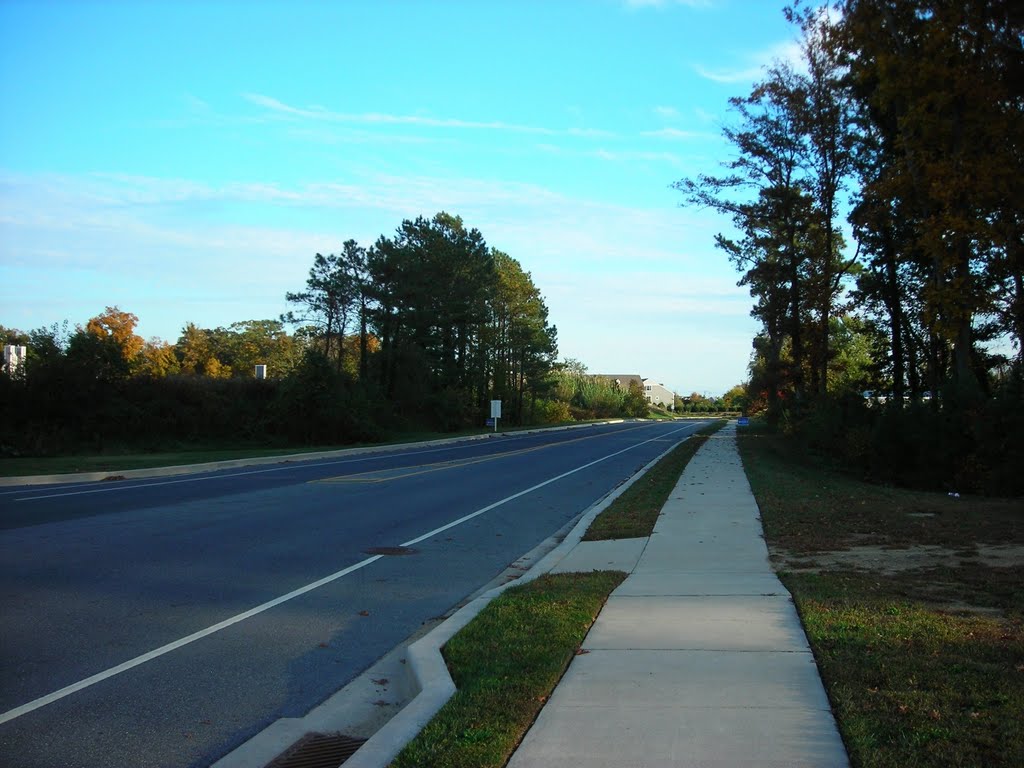 Hebron Road by N. W.