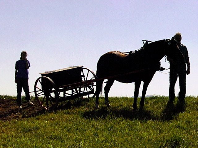 mb - Farm-Art with Horse  1999 by Margrit M. Berger (S…