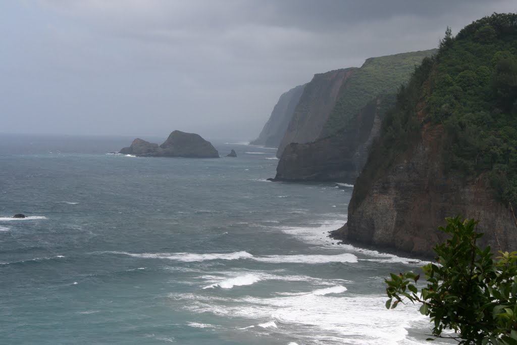 Niuli'i, May 2008 by Kevin.Daniels