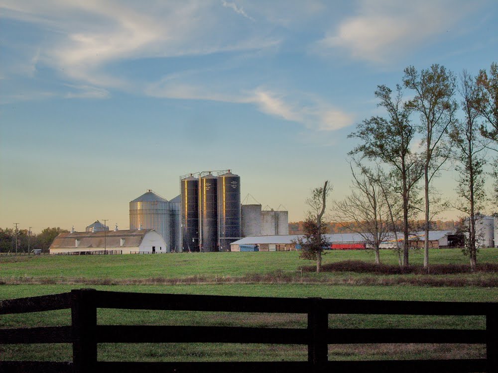 Hanover Farm - Hanover County, VA by r.w.dawson