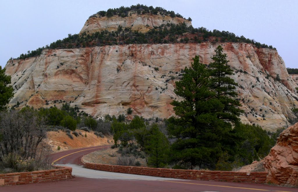 84. Zion NP, Juta by Renatorius (Reno)