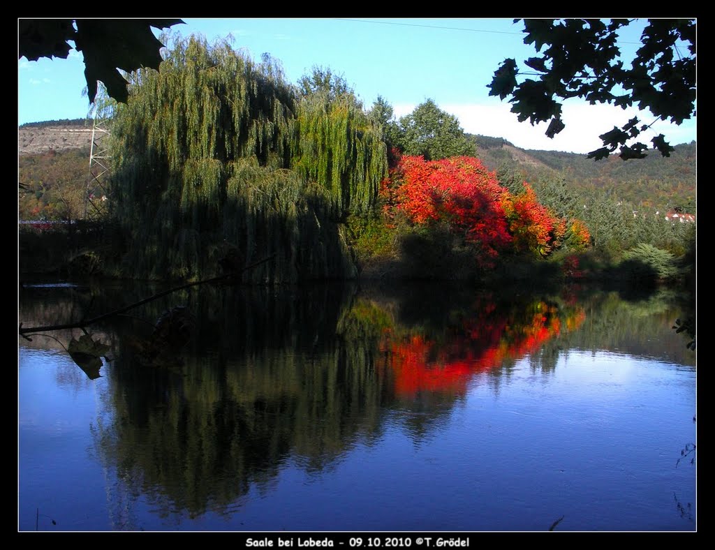 Saale bei Altlobeda by ThorstenGroedel