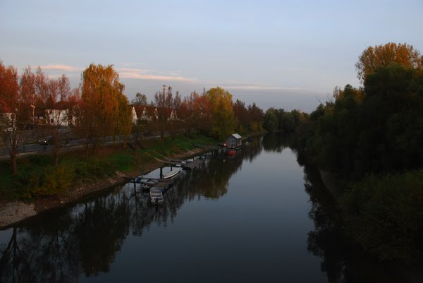 Abendstimmung am Altrhein bei Erfelden by Friedrich Blaul