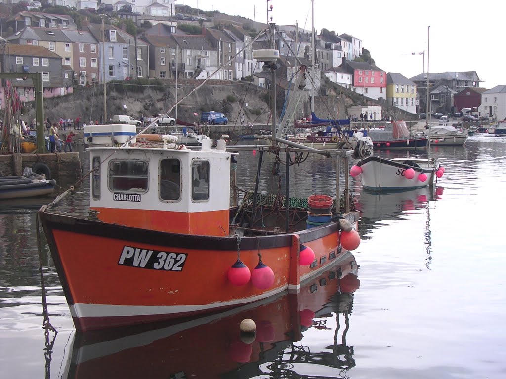 Mevagissy by David Owen