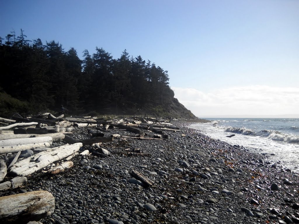 Fort Ebey State Park, 400 Hill Valley Drive, Coupeville, WA 98239, by Alex Tucker