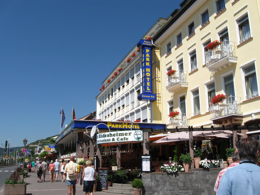 Rudesheim am Rhein - Park Hotel by Ioan Manoliu