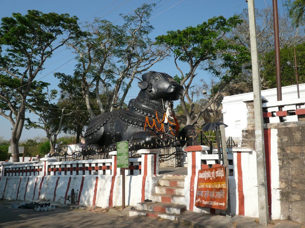 チャームンディの丘にあるナンディ(牝牛)像 (インド、マイソール) (Nandi at Chamundi Hills, Mysore, Karnataka, India) by scarbo