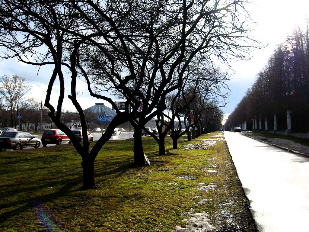 Avenue near the MSU by Lostgirl