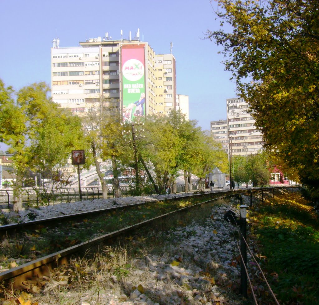 Autumn in Kragujevac by Viktorija Ćirić