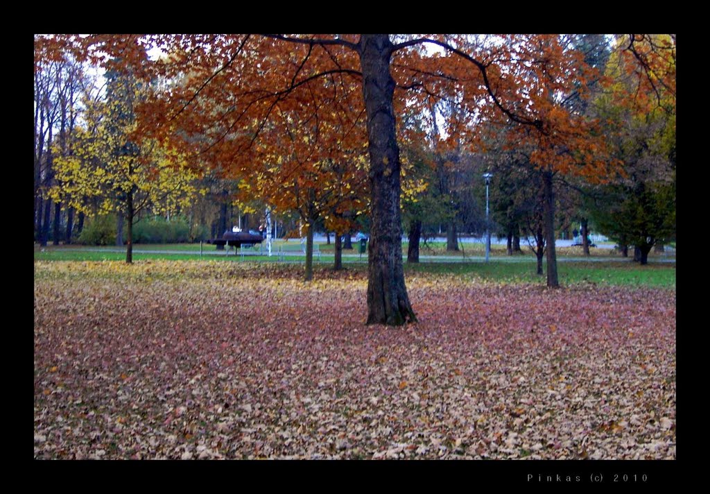 Barevny park by JP by Jan Pinkas