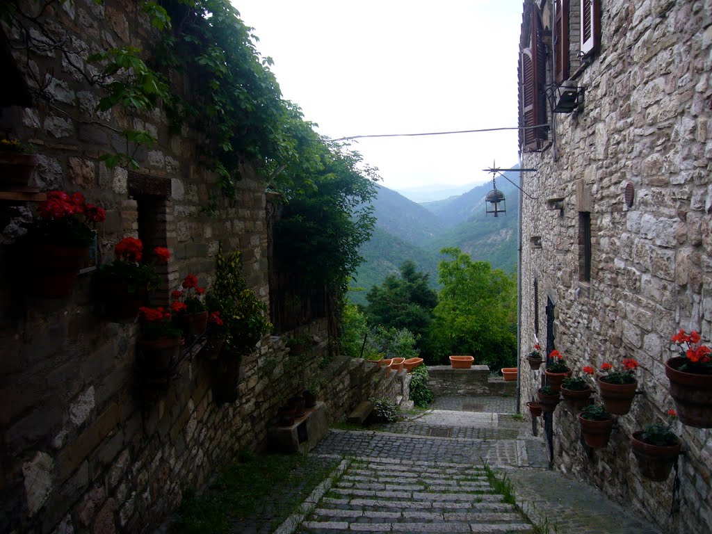 View to the northeast from a hillside in Assisi by trimblesm