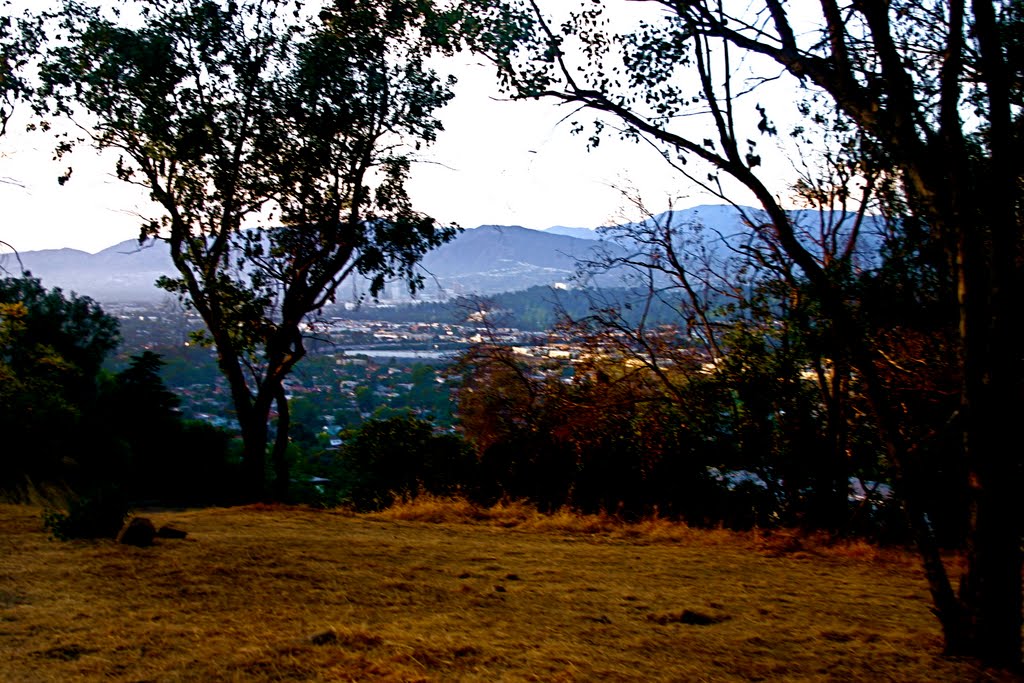 The walking Trail in Elysian Park, Los Angeles, CA by Michael Jiroch